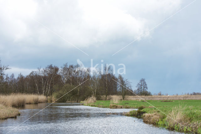 Nieuwkoopse Plassen