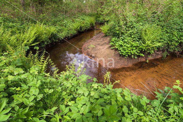 Nationaal beek- en esdorpenlandschap Drentsche Aa