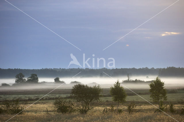 Biebrza National Park