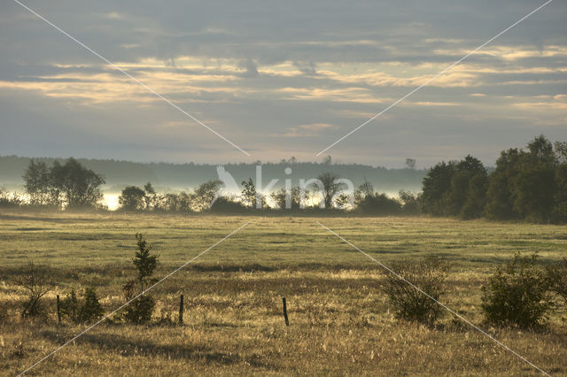 Biebrza National Park