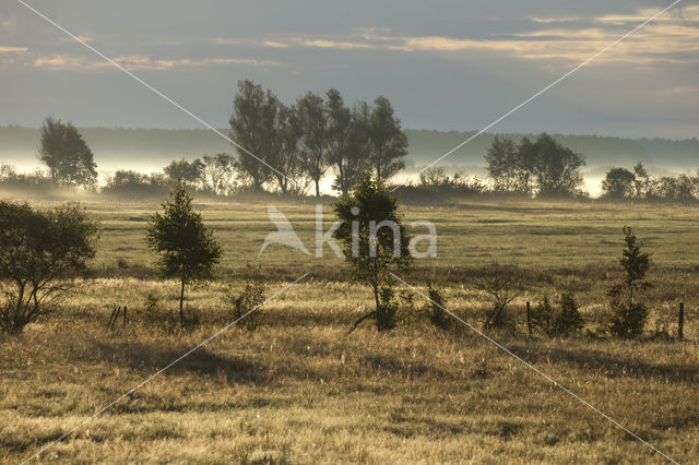 Biebrza National Park