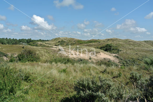 Noordhollands Duinreservaat