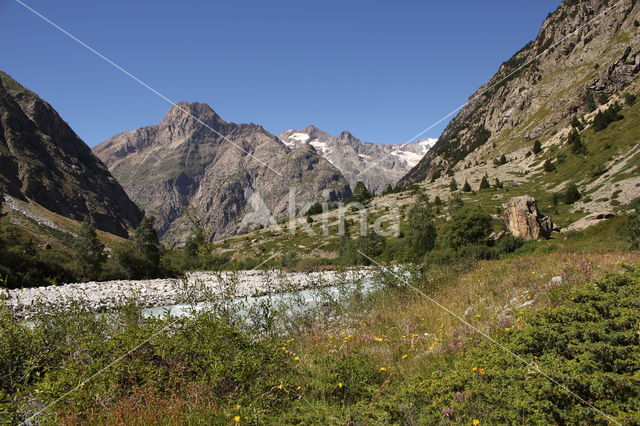 Vallée du Vénéon