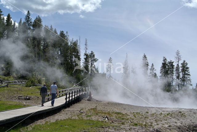 Yellowstone national park