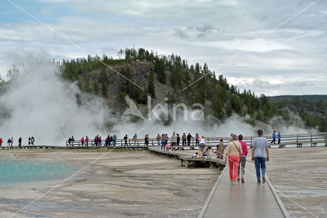 Yellowstone national park