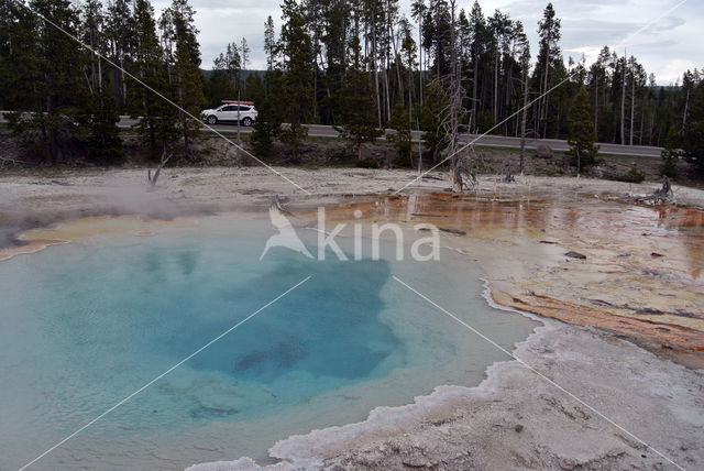 Yellowstone national park