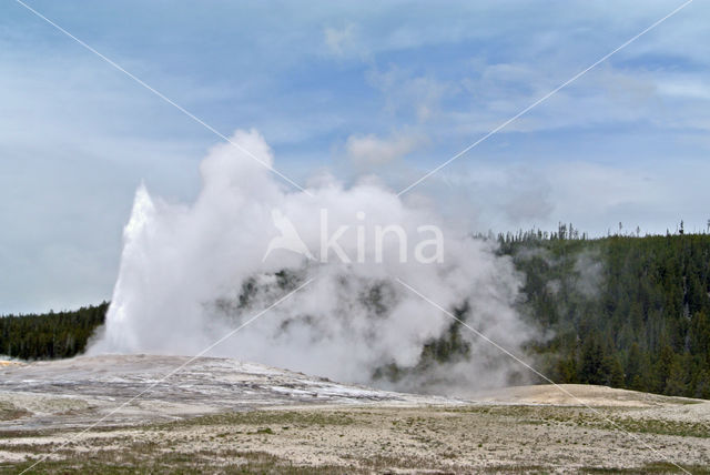 Yellowstone national park