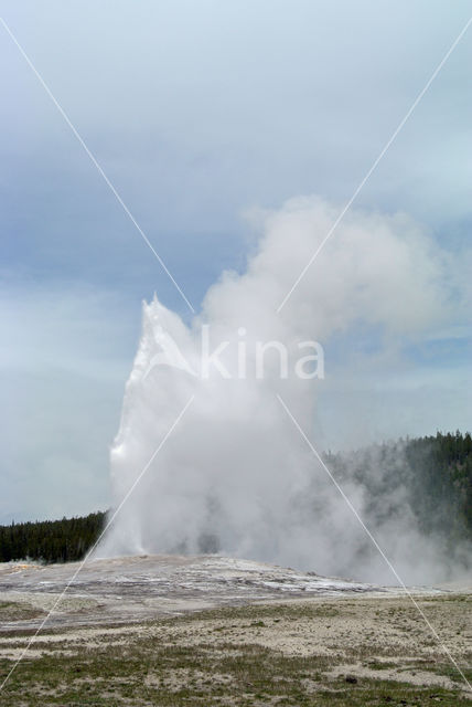 Yellowstone national park