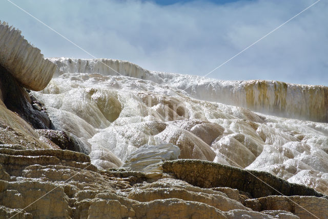 Yellowstone national park