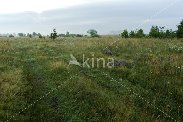 Biebrza National Park