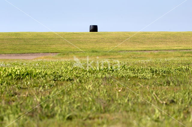 Schiermonnikoog