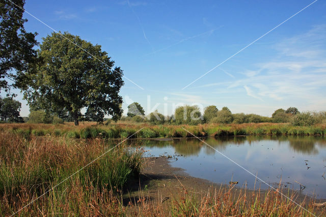 Empese en Tondense Heide