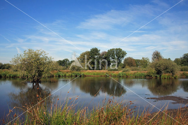 Empese en Tondense Heide