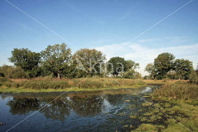 Empese en Tondense Heide