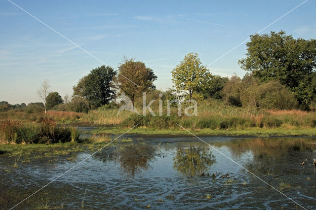 Empese en Tondense Heide