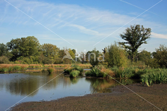 Empese en Tondense Heide