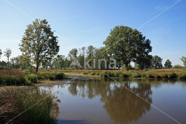 Empese en Tondense Heide