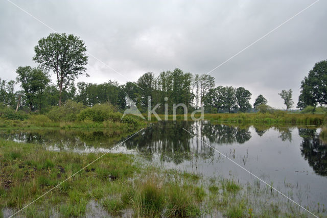 Empese en Tondense Heide