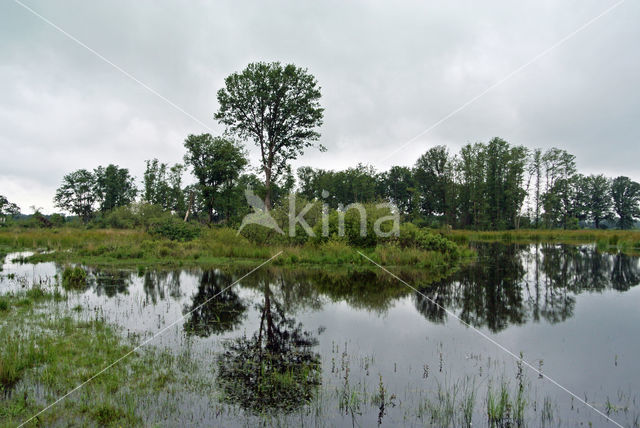 Empese en Tondense Heide