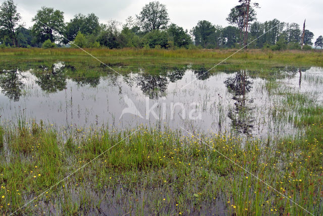 Empese en Tondense Heide