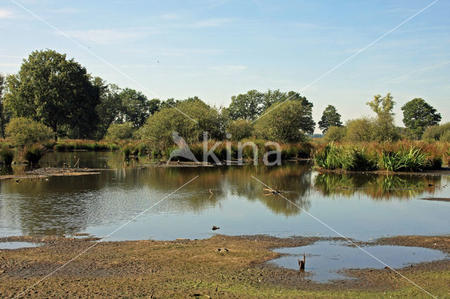 Empese en Tondense Heide