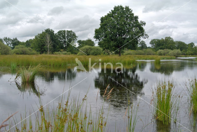 Empese en Tondense Heide