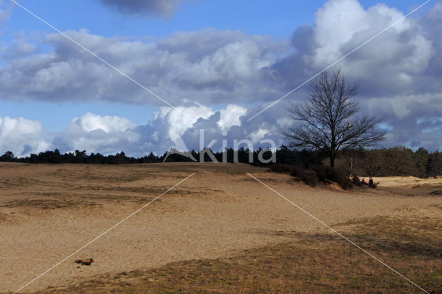 Kootwijkerzand