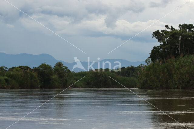 Reserva Ecologica Tingana