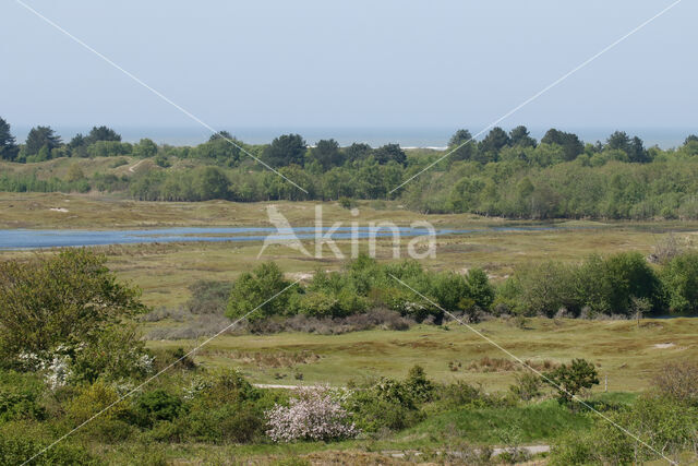 Nationaal park Schiermonnikoog