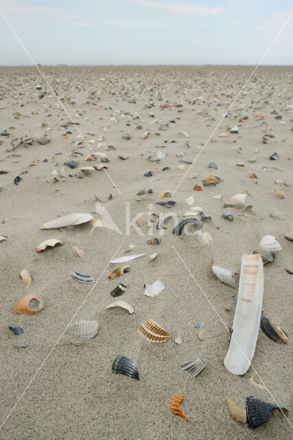 National Park Schiermonnikoog