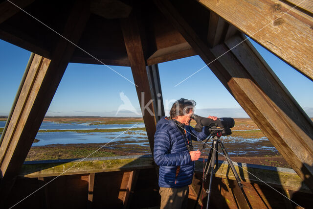 Verdronken Land van Saeftinghe