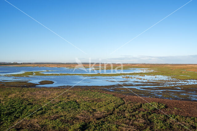 Verdronken Land van Saeftinghe