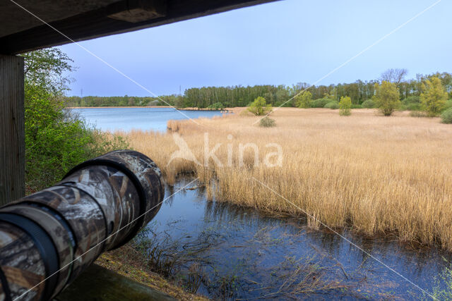 bird hide