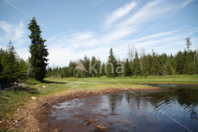 Harz National park