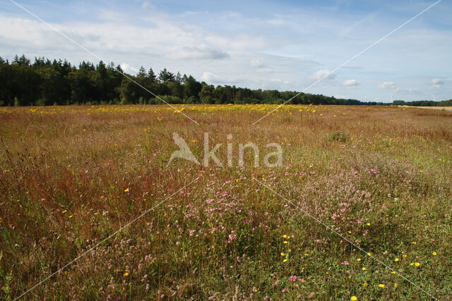 Vliegveld Malle