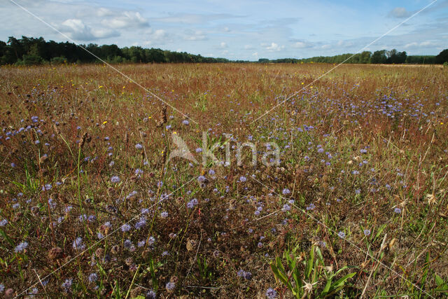 Vliegveld Malle