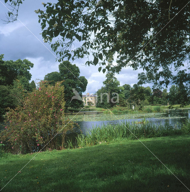 Glansevern Hall gardens