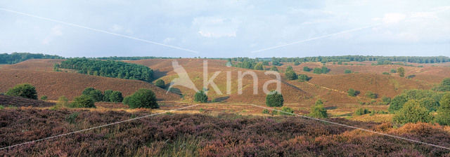 Nationaal Park Veluwezoom