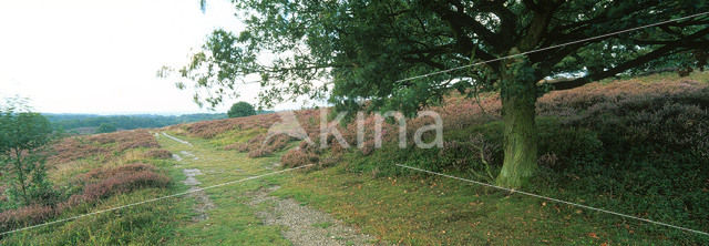 Nationaal Park Veluwezoom