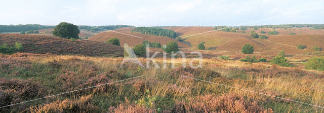 Nationaal Park Veluwezoom