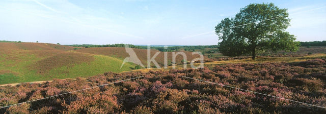 Nationaal Park Veluwezoom