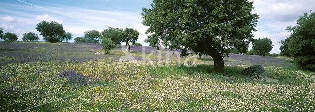 Extremadura