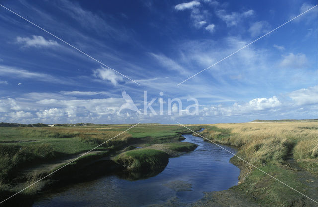 Nationaal Park Duinen van Texel