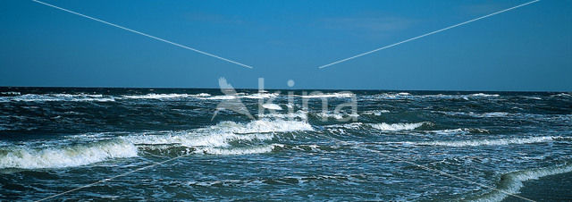 Waddenzee