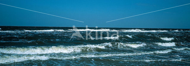 Waddenzee