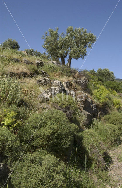 Potamia valley