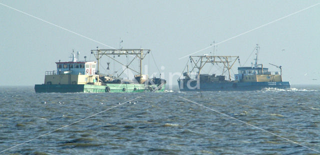 Waddenzee