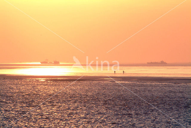 Waddenzee