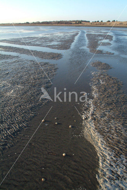 Waddenzee