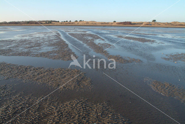 Waddenzee